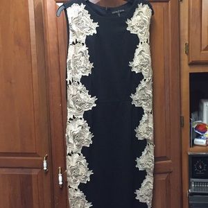 Black and Tan lace knee length dress